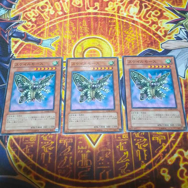 Scary Moth Normal JP023