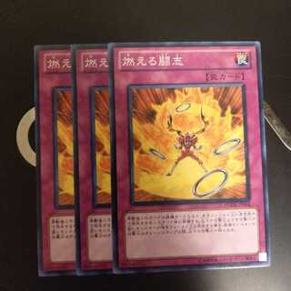 燃える闘志　wstorm