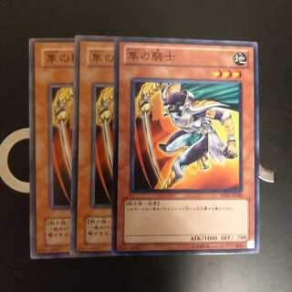 隼の騎士　wstorm