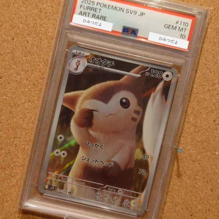Dedicated to [1938151914] [PSA10] Furret AR 110/100