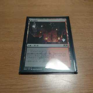 血の墓所 レア プロモパック版