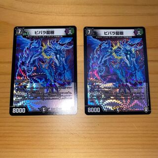 ビバラ龍樹　2枚セット
