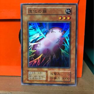 [EX] 進化の繭 第1期 スーパーレア