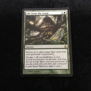 【isso0624様専用】壌土からの生命 英1枚