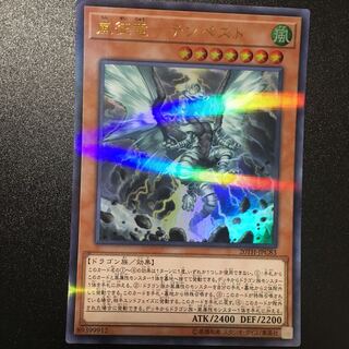 嵐征竜−テンペスト P-UR