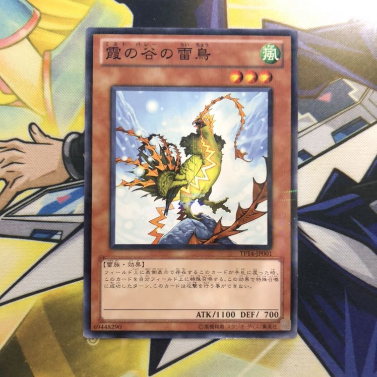 霞の谷の雷鳥 P-N 1枚