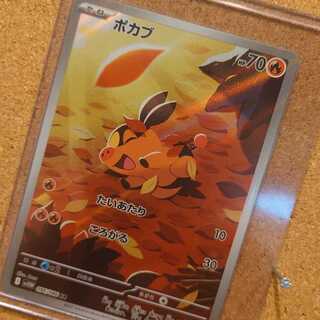 ポカブ AR 096/086の通販 カードコレクト屋 くらげ（533641415