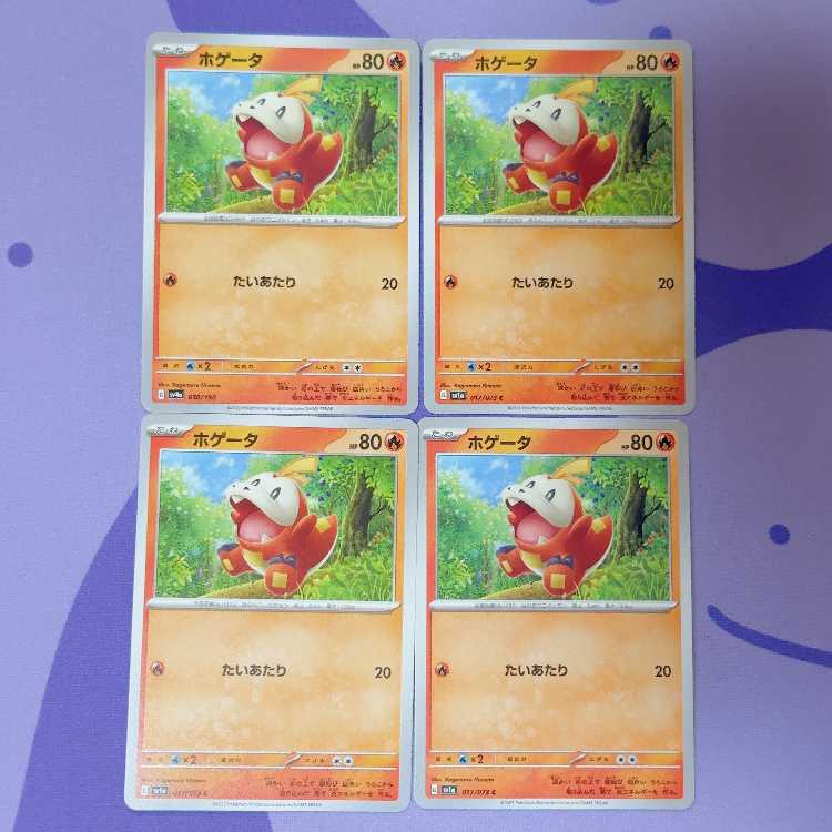 ホゲータ C 017/073