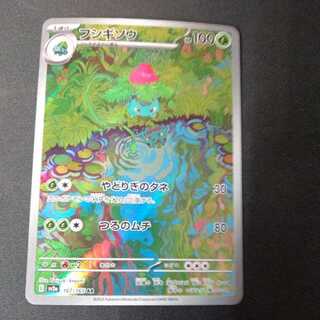 フシギソウ AR 167/165