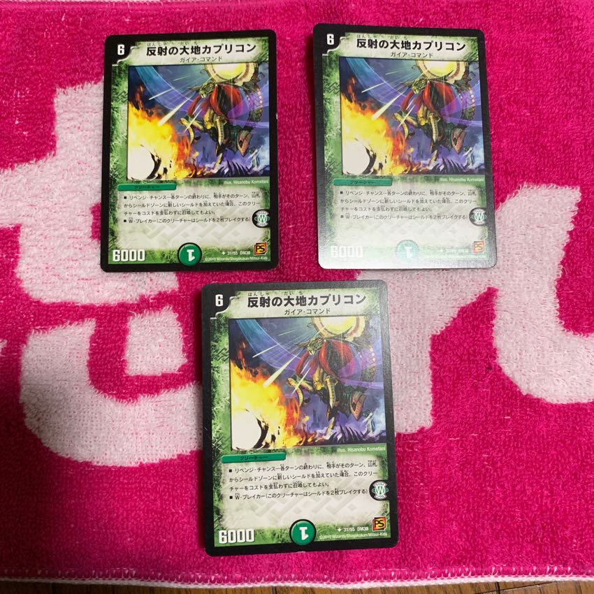 カプリコン 1枚