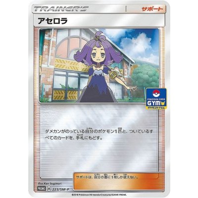 [Condition A-] Acerola [P] {223/SM-P}