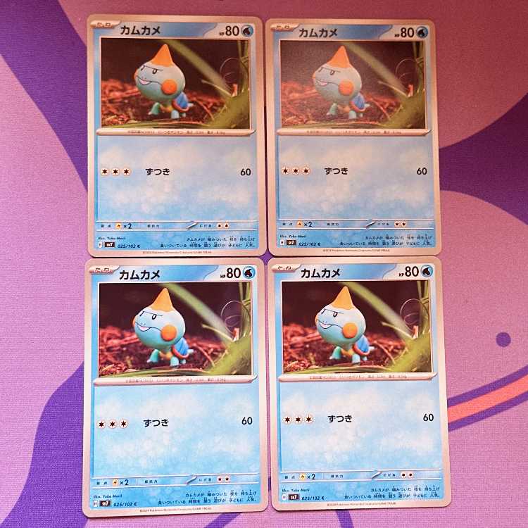 カムカメ C 025/102