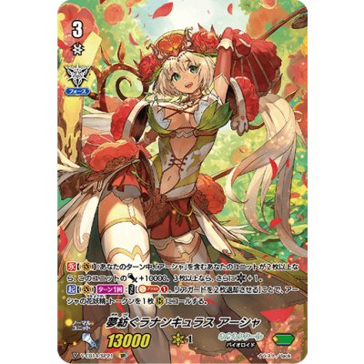 [State B] Dream Spinning Ranunculus Asha [SP] {V-EB14/SP21} [Neo Nectar