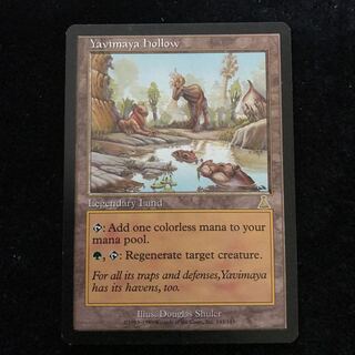 ヤヴィマヤのうろ穴/Yavimaya Hollow 英1