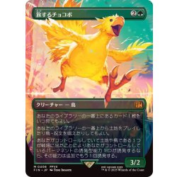 【きれいめファッション51選】上品さと清潔感をキープし FOIL)(フルアート)旅するチョコボ/Traveling Chocobo《日本語 マジック：ザ・ギャザリング