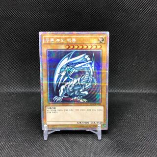 青眼の白龍 韓国」の激安通販 | magi