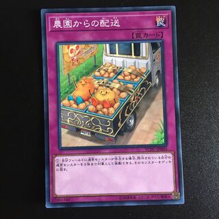 農園からの配送 N