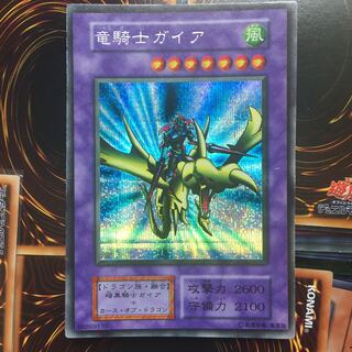 竜騎士ガイア シークレット