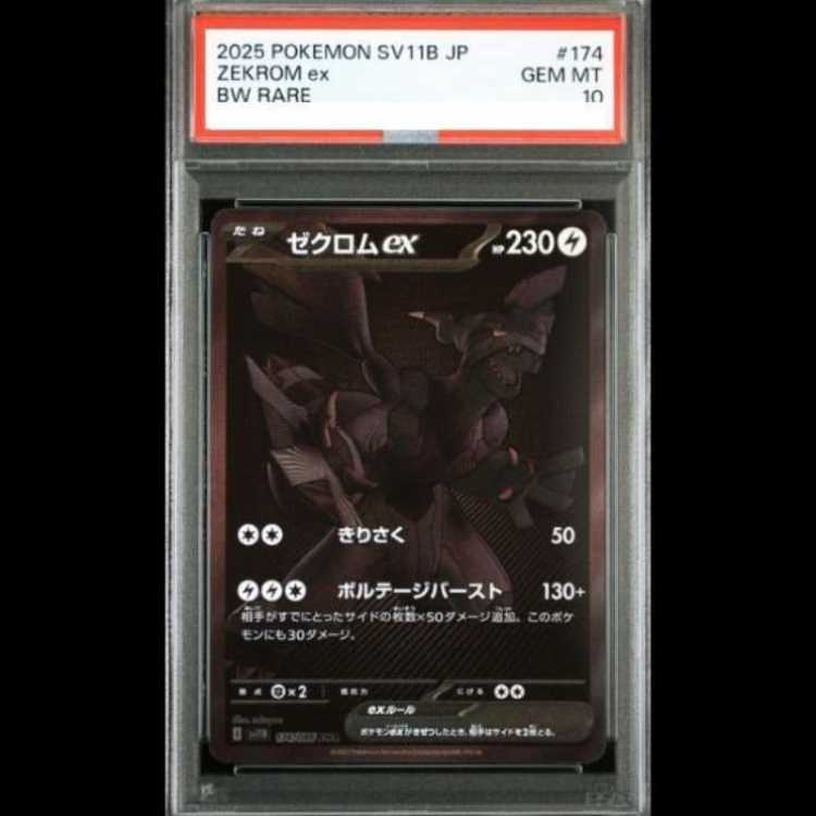 PSA10】ゼクロムex BWR 174/086の通販 土日祝休@magi公式