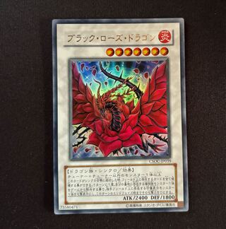 ブラック・ローズ・ドラゴン　ホロ　3枚セット ブラック・ローズ・ドラゴン」の激安通販 | magi