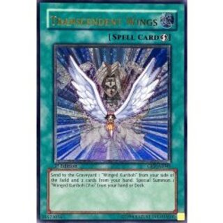 〔状態A-〕☆旧アジア☆進化する翼【レリーフ】{CRV-AE045}《コレクター向け》