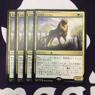 青銅皮ライオン 4枚