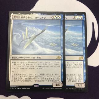 空を放浪するもの、ヨーリオン 2枚