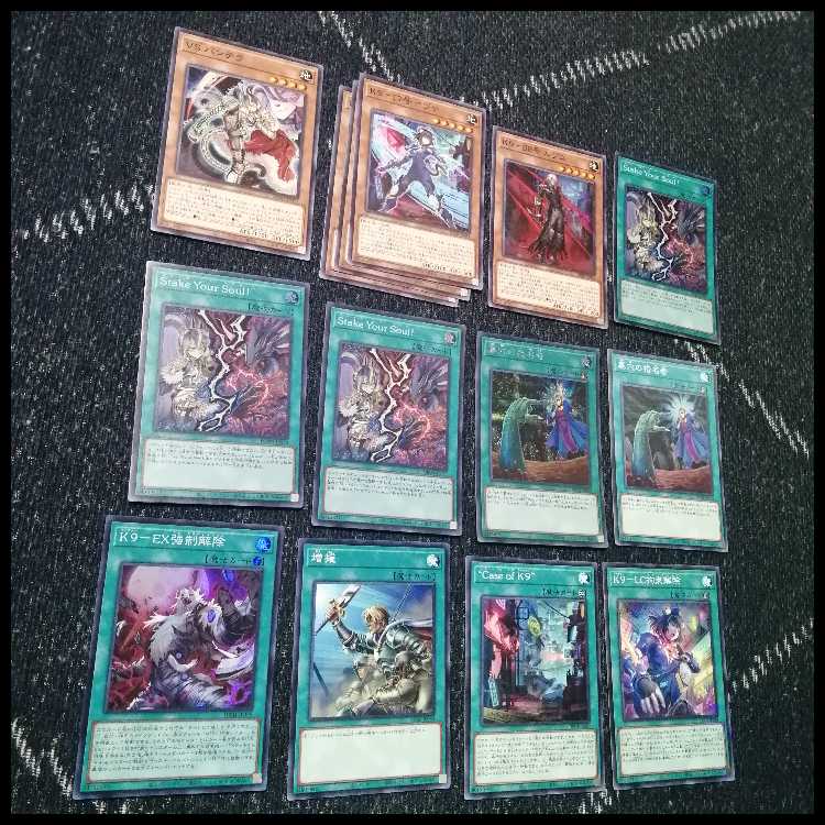 遊戯王 ヴァンキッシュソウル VS K9 デッキ VSK9 ヨクル[03915