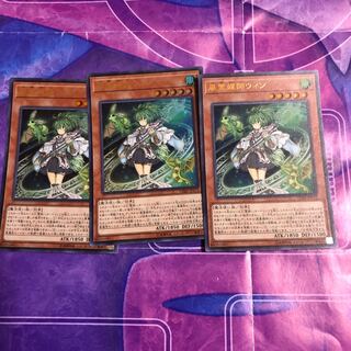 風霊媒師ウィン