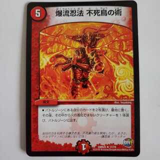 爆流忍法 不死鳥の術