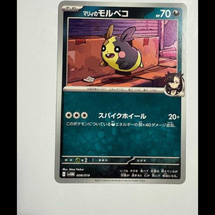マリィのモルペコ (-) スターターセットex マリィのモルペコ