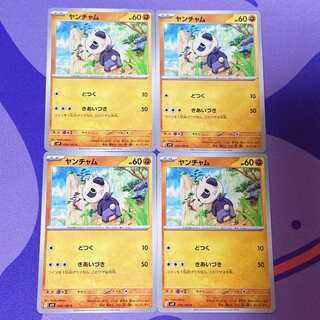 Pancham C 050/100