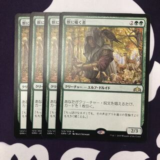 獣に囁く者 4枚