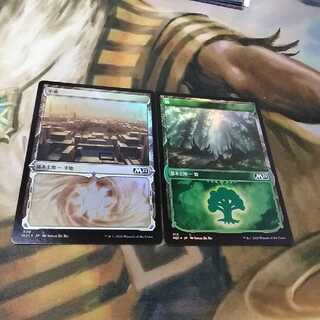 Plains/Forest★Showcase foil★1 each★Basic Set 2021