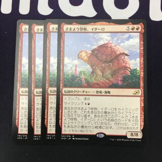 さまよう怪物、イダーロ 4枚