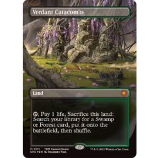 mtg 新緑の地下墓地　４枚　英語　旧枠 260)《新緑の地下墓地/Verdant Catacombs》[MH2] 土地R | 日本
