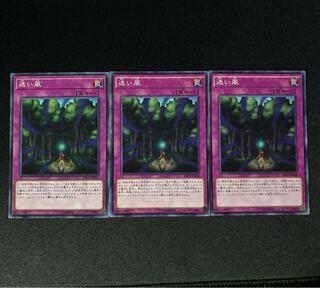 迷い風 ノーマル JP068