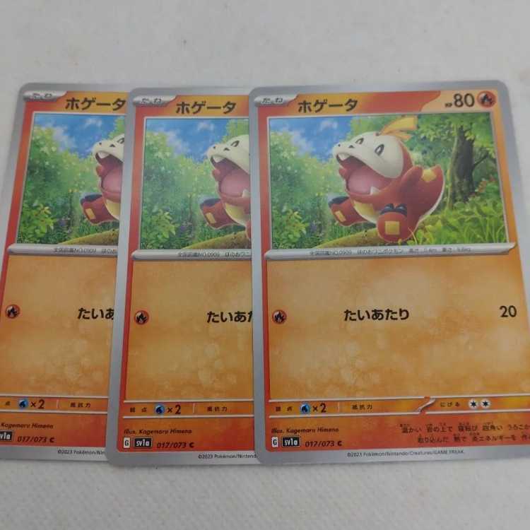 ポケモンカード ホゲータ進化ラインまとめセット 250215722の