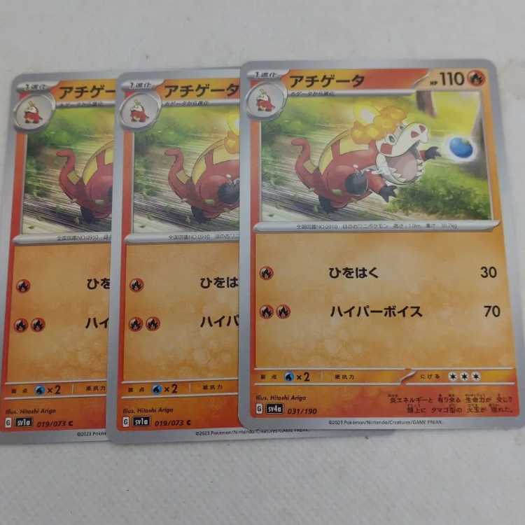 Pokémon Card Hogeta Evolution Line Summary Set 250215722