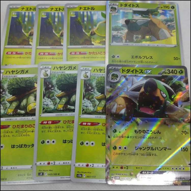 Pokémon Card Turtwig Evolution Line Summary Set 250315706