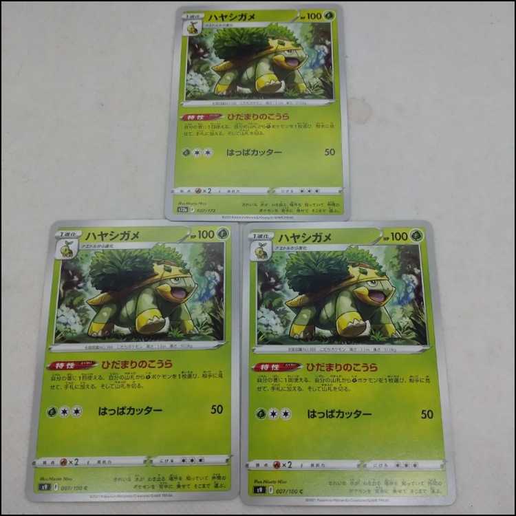 Pokémon Card Turtwig Evolution Line Summary Set 250315706