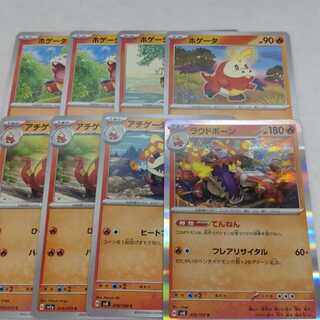 Pokémon Card Hogeta Evolution Line Summary Set 250315705