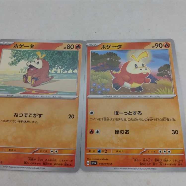 Pokémon Card Hogeta Evolution Line Summary Set 250315705