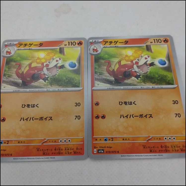 Pokémon Card Hogeta Evolution Line Summary Set 250315705