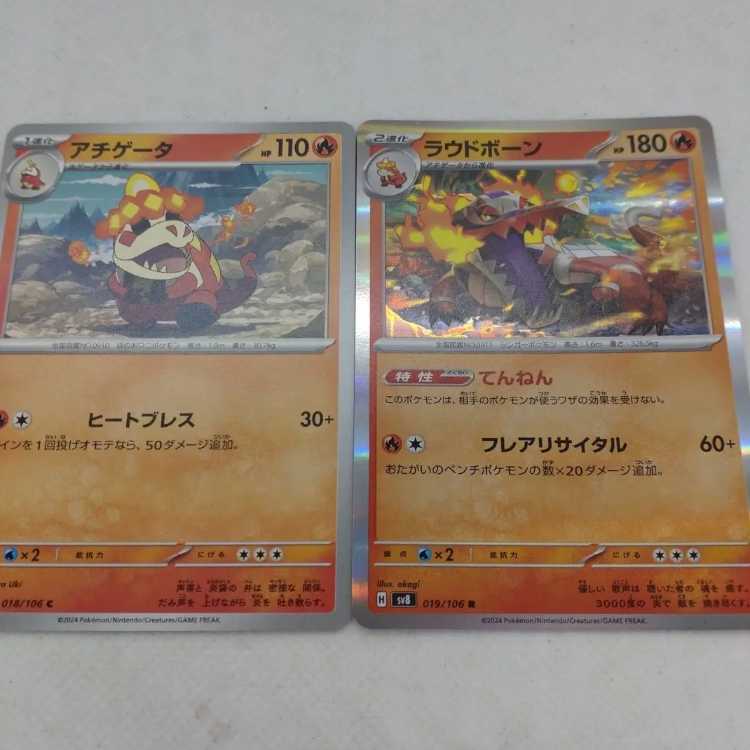 Pokémon Card Hogeta Evolution Line Summary Set 250315705