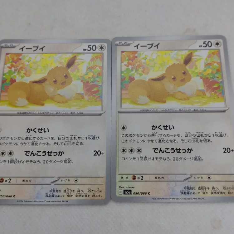 ポケモンカード イーブイ進化ラインセット 250315710の通販