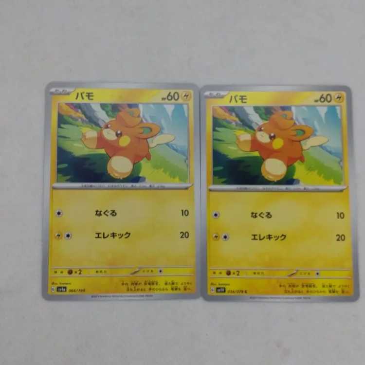 ポケモンカード パモ進化ラインまとめセット 250315716の通販