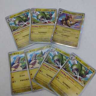 Pocketka Haxorus Evolution Line 24110271