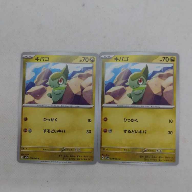 Pocketka Haxorus Evolution Line 24110271