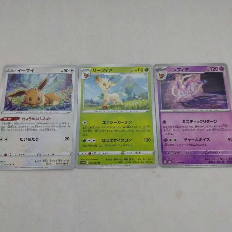 Pokémon Card Buoys Summary Set 250208705